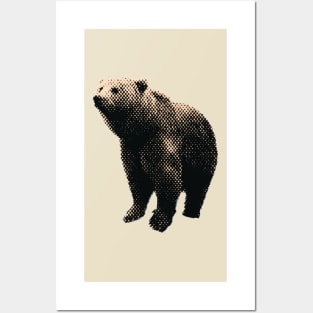 Bear on all fours Posters and Art